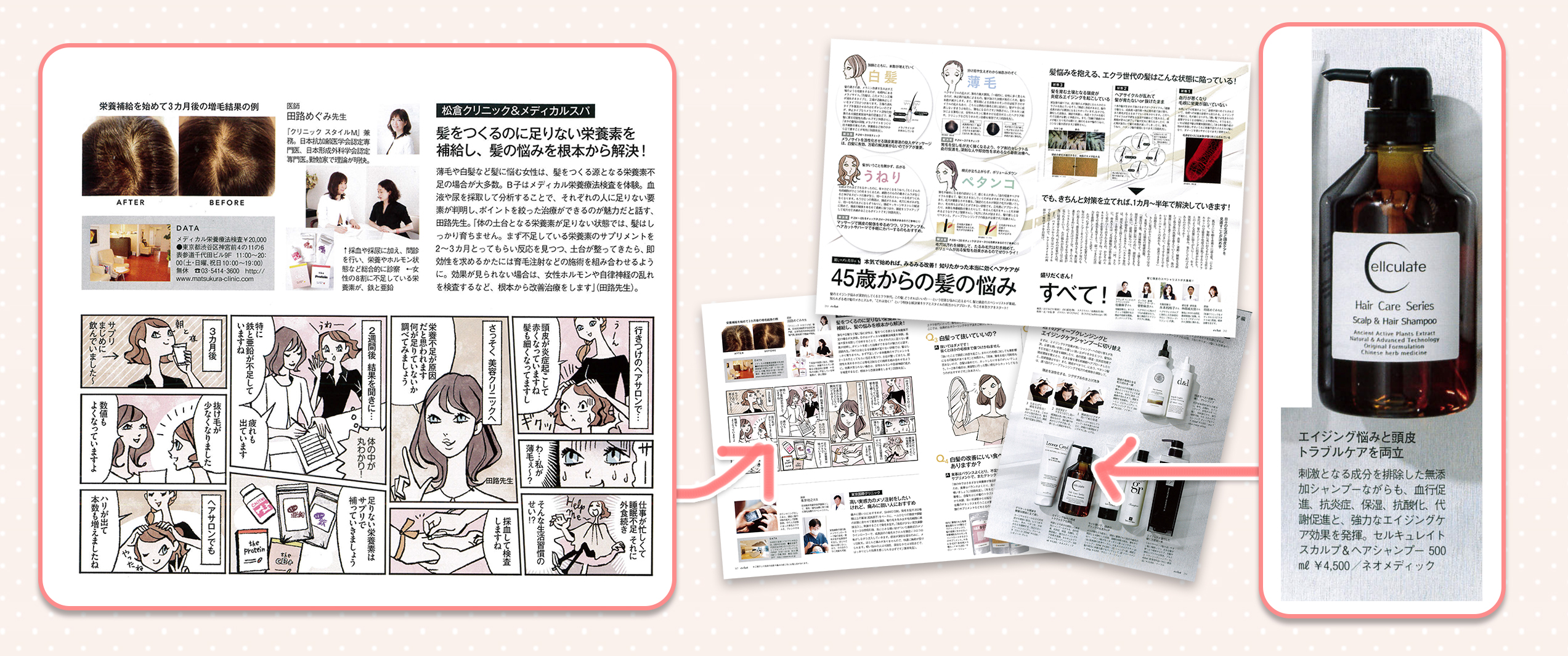 éclat 11月号
